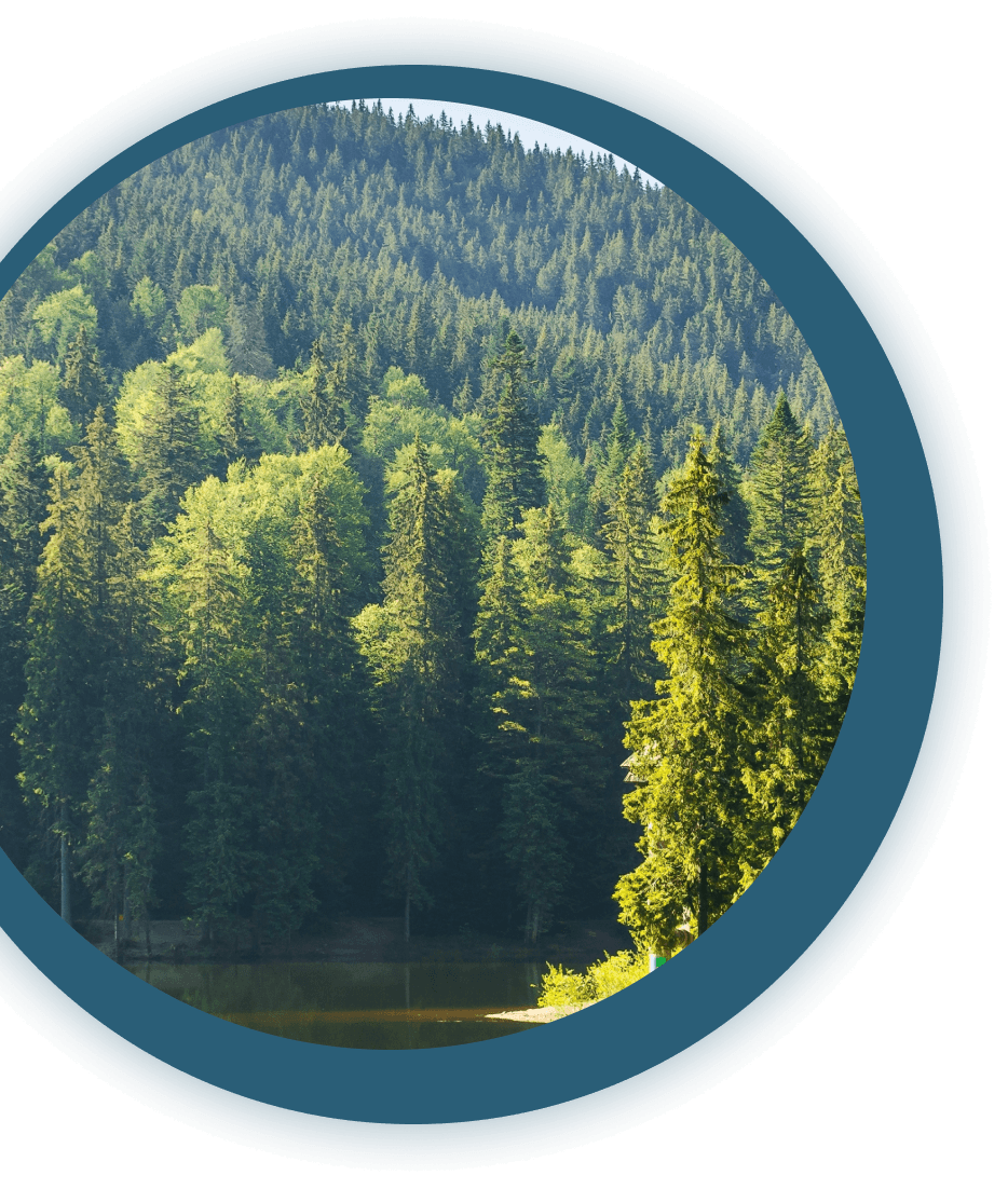 Trees