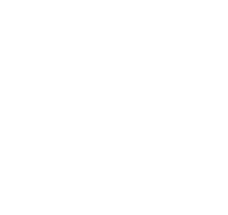 Polishing & Finishing Options icon